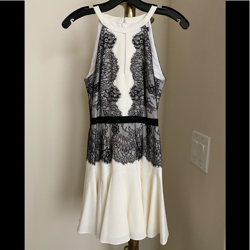 Bcbgmaxazria Laced Flared Dress